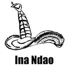 Ina Ndao Logo